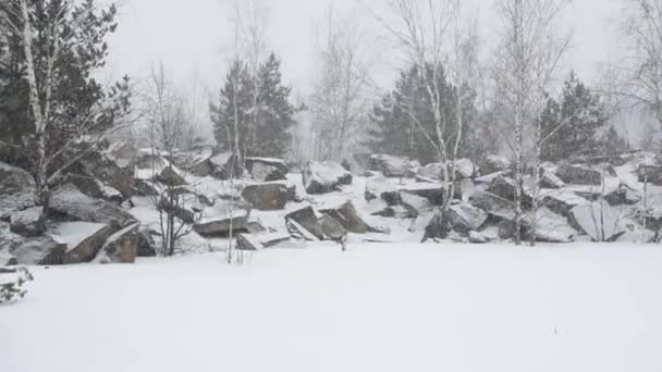 Un lago en el día de invierno — Vídeo de stock