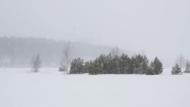 Starker Schneefall auf dem See — Stockvideo