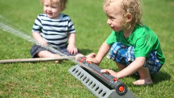 Twee kleine jongens zitten op gras — Stockvideo