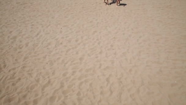 Los niños caminan sobre la arena de playa — Vídeo de stock