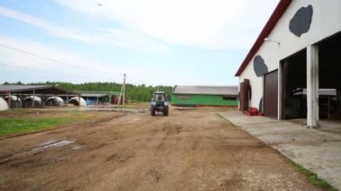 süt çiftlikte traktör kullanıyor 