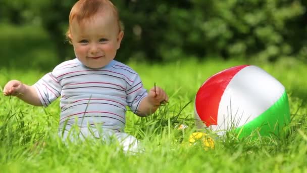 Baby sits on green meadow — Stock Video