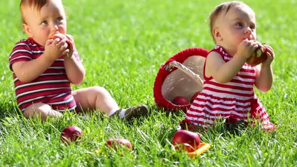 Δύο μωρά τρώνε κόκκινα μήλα — Αρχείο Βίντεο