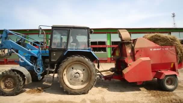 Blå traktor med hö i en trailer på en mjölkgård. — Stockvideo