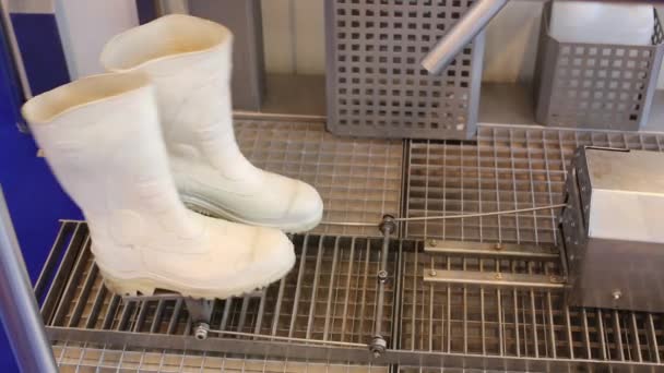 Il meccanismo muove gli stivali di gomma nel padiglione MosExpo — Video Stock