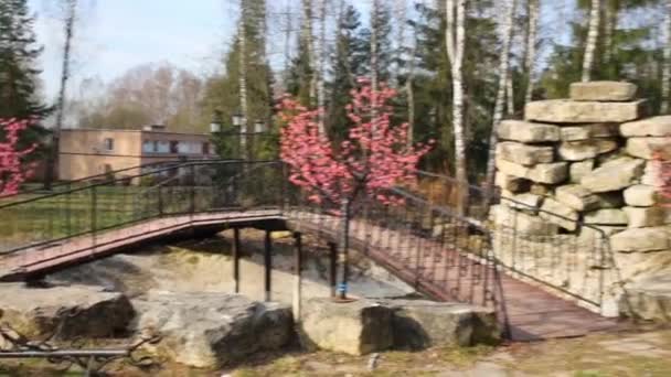 Маленький мост с декоративными деревьями в весеннем парке с каруселью — стоковое видео