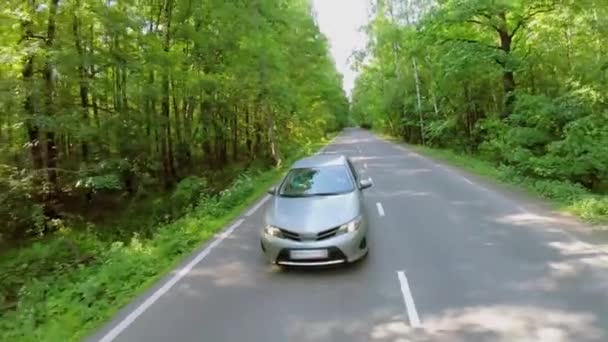 Voiture se déplace par la route parmi les arbres avec un feuillage vert dans la forêt — Video