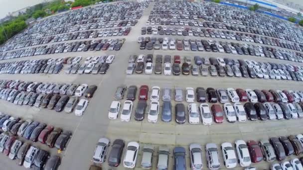 Большая парковка с большим количеством новых автомобилей в летний день. Вид с воздуха — стоковое видео