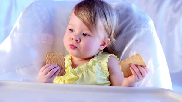 Μικρό κορίτσι τρώει μπισκότο cookies, κάθεται σε καρεκλάκι. — Αρχείο Βίντεο