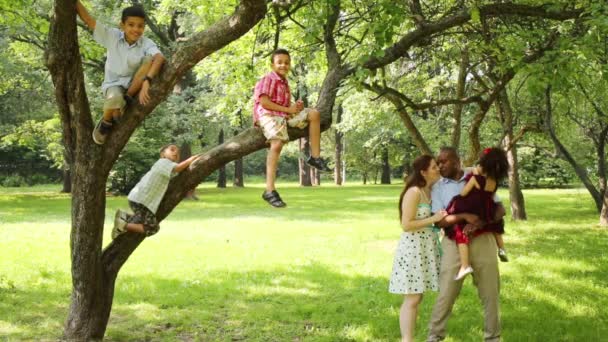 Familie im Park, Söhne klettern auf Bäume, Eltern halten Tochter — Stockvideo