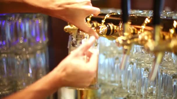 Barman llena taza con cerveza del grifo en el restaurante . — Vídeo de stock