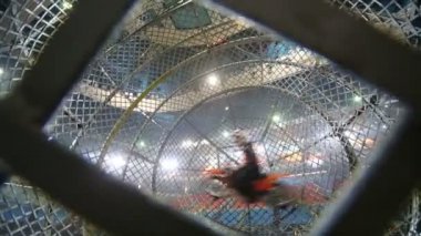 Bir Biker eğlence gösterisi metal örgü topu içinde sürücüler