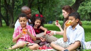 Bir yaz parkta piknik te dinlenmiş beş mutlu aile