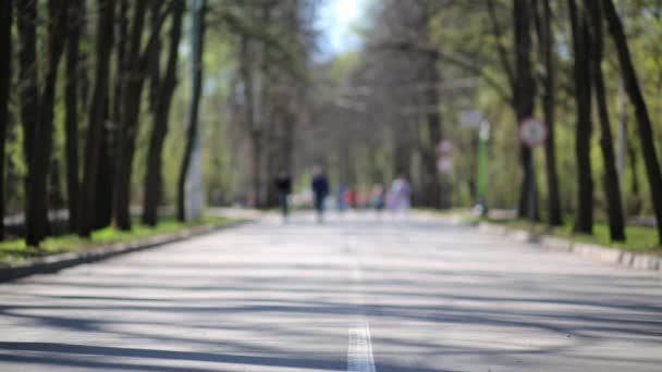 Ragazzo e ragazza cavalcano sui pattini a rotelle nel parco estivo . — Video Stock