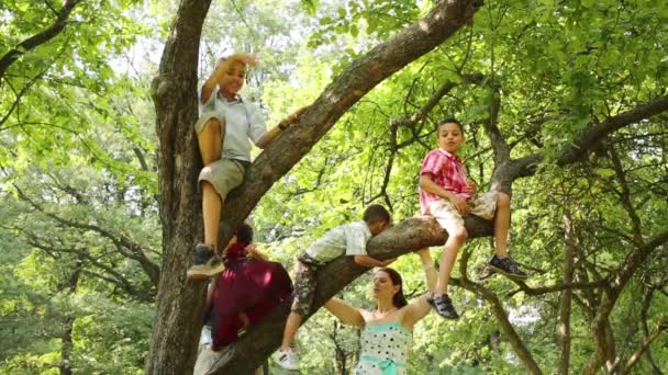 Eltern mit vier Kindern spielen im Park auf einem Baum — Stockvideo