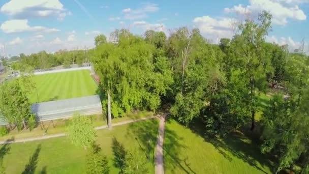 公園とサッカー場 — ストック動画