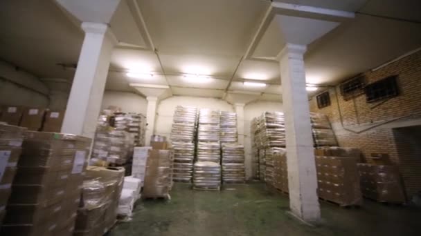 De ruimte van magazijn gevuld met dozen en pallets. — Stockvideo