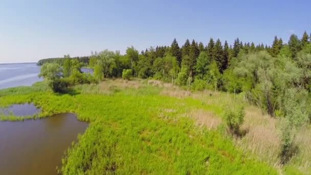 Ufer des Wasserreservoirs mit Wald unter dem Himmel im Sommer — Stockvideo