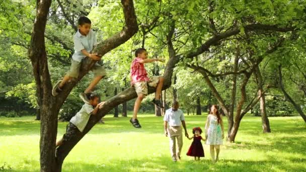 Ouders lopen met dochter naast boom op die klimmen zonen — Stockvideo