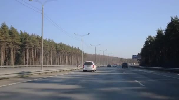 Kendaraan di jalan antara hutan di Moskow, Rusia . — Stok Video