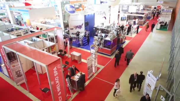 International Exhibition Dairy and Meat Industry — Stock Video