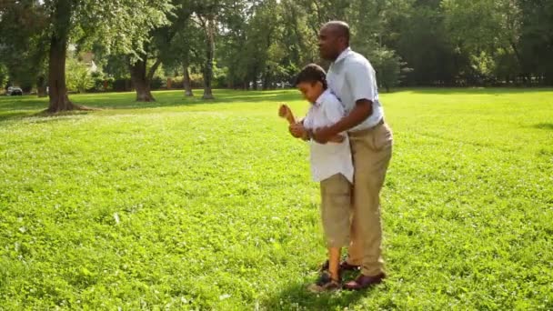 Vader en zoon spelen in het park van de zomer, vader zoon draaiingen — Stockvideo