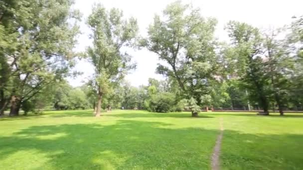 Hermoso parque en un día soleado de verano, cámara giratoria — Vídeo de stock