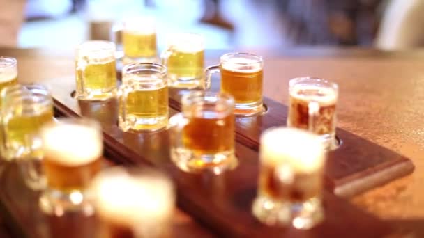 Barman pone paletas con noggins llenos de cerveza en el mostrador . — Vídeo de stock