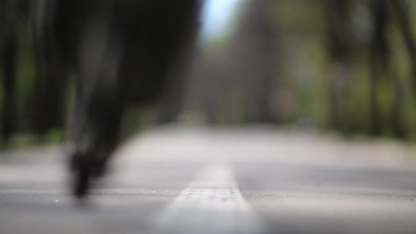 Jongen rijden op rolschaatsen in zomerpark op dag. — Stockvideo