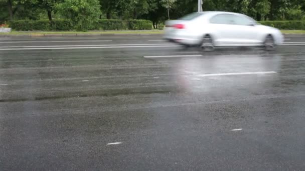 Un sacco di auto vanno veloci su strada bagnata sotto la pioggia al giorno d'estate — Video Stock