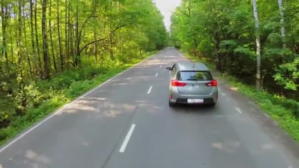 Auto rijdt over de weg tussen bomen met groen loof in de zomer — Stockvideo