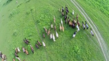Süvari sürücüler sürüsü tarafından çim sahası 