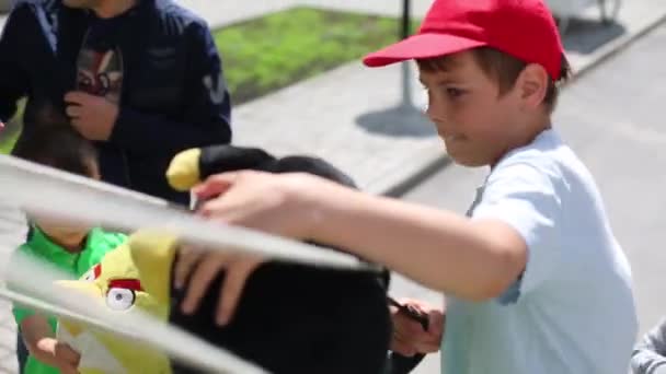 Junge spielt wütende Vögel Spiel — Stockvideo