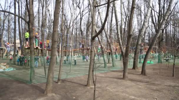 Chemin des singes dans le parc Sokolniki — Video