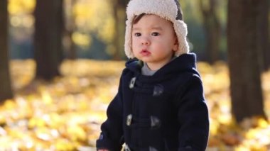 Sarı yapraklar üzerinde küçük çocuk duruyor 