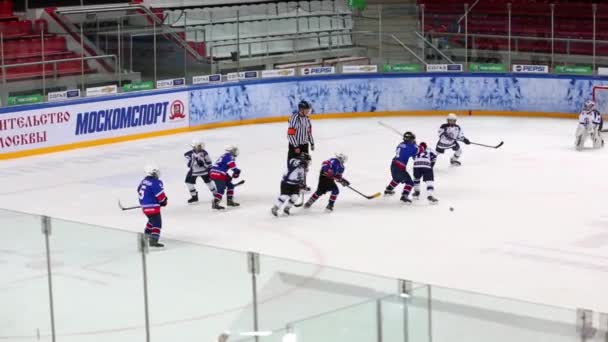 Doelman vangsten puck in spel — Stockvideo