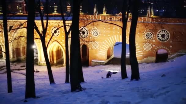 Murallas iluminadas cerca del Palacio Tsaritsyno — Vídeos de Stock