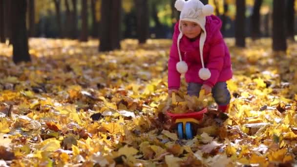 Schattig klein meisje in het park — Stockvideo