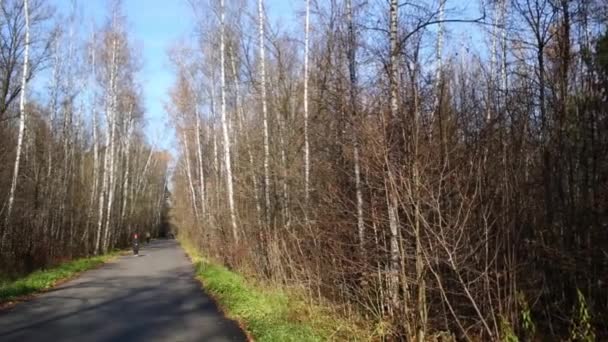 Sendero estrecho asfaltado entre el bosque — Vídeo de stock