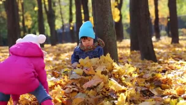 Niño y niña lanza hojas — Vídeos de Stock