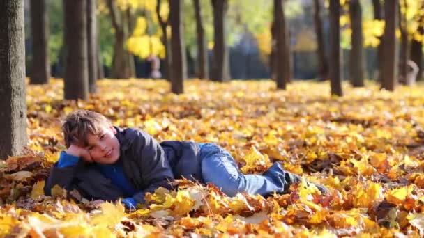 Schöner Junge liegt im Herbstpark — Stockvideo
