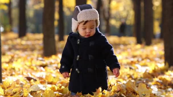 Petit garçon se tient sur feuillage jaune — Video