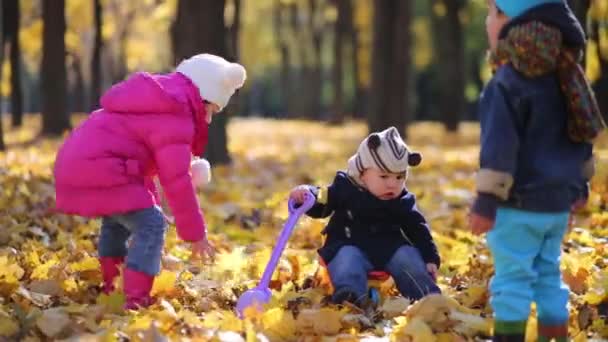 Três crianças brincam no parque de outono — Vídeo de Stock
