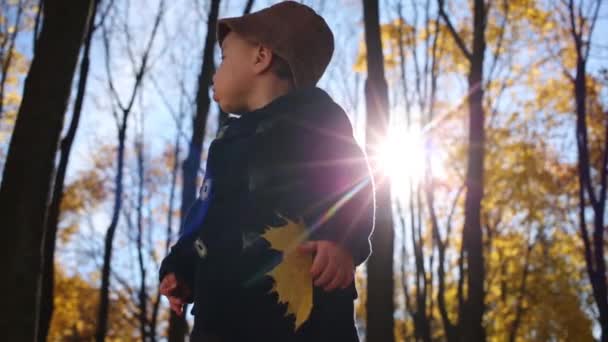 Liten pojke står i höst park — Stockvideo