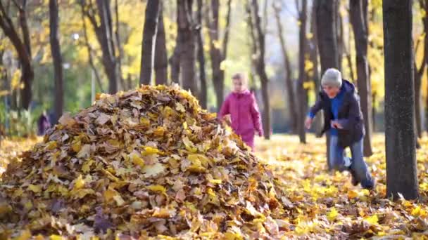 Niño y niña saltan a las hojas caídas — Vídeos de Stock