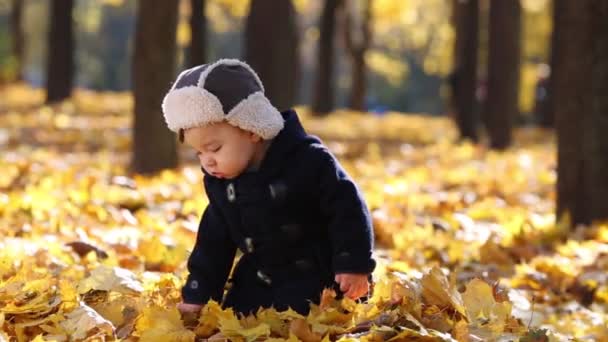 Liten pojke står på gult bladverk — Stockvideo