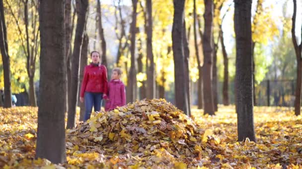 Μητέρα και κόρη να μεταπηδήσετε σε πεσμένα φύλλα — Αρχείο Βίντεο