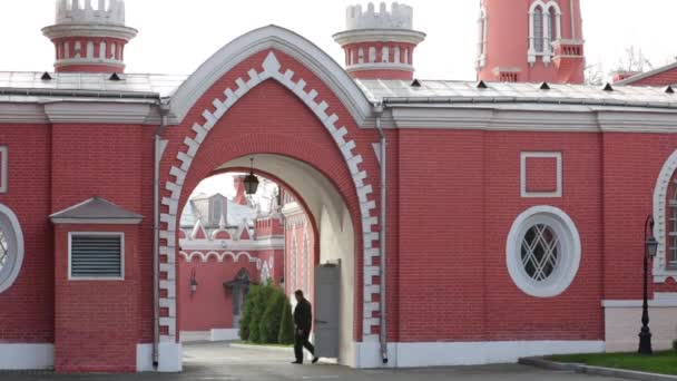 Petroff 궁전 모스크바에 있는 두 사람. — 비디오
