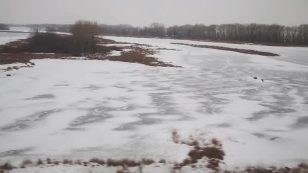 Zamrożone brzegu rzeki w zimowy dzień — Wideo stockowe