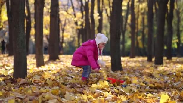 Bambina in parco in autunno — Video Stock